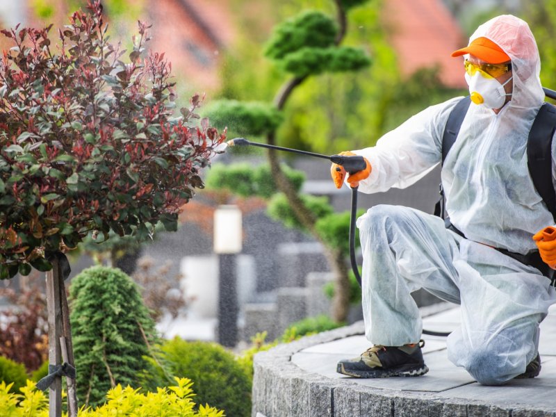 Eskifoça Haşere İlaçlama