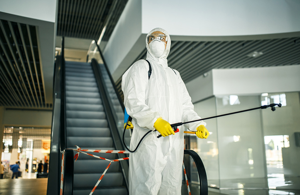 Eskifoça Haşere İlaçlama